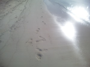 tracks in the sand.JPG